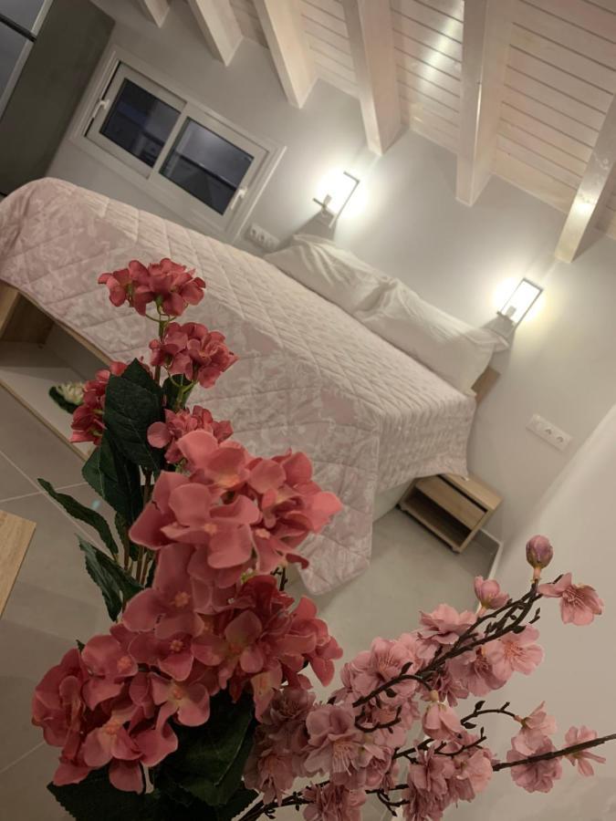 Terpsichore Boutique Bright New Sofita Studios And Appartment Δασιά Εξωτερικό φωτογραφία