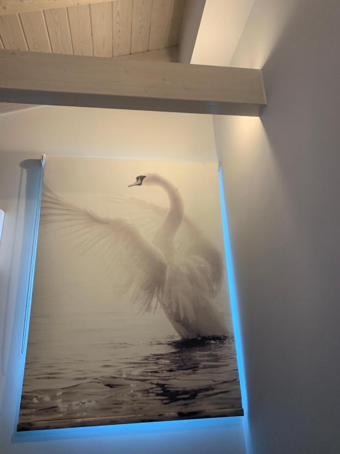 Terpsichore Boutique Bright New Sofita Studios And Appartment Δασιά Εξωτερικό φωτογραφία